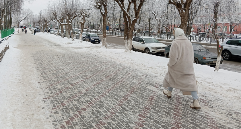 Шубы из экомеха - уже не в моде: все зоозащитники переходят на другую верхнюю одежду и диктуют новый тренд