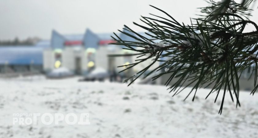 Январь начнется для тамбовских спортивных болельщиков с домашних игр баскетбольной и хоккейной команд