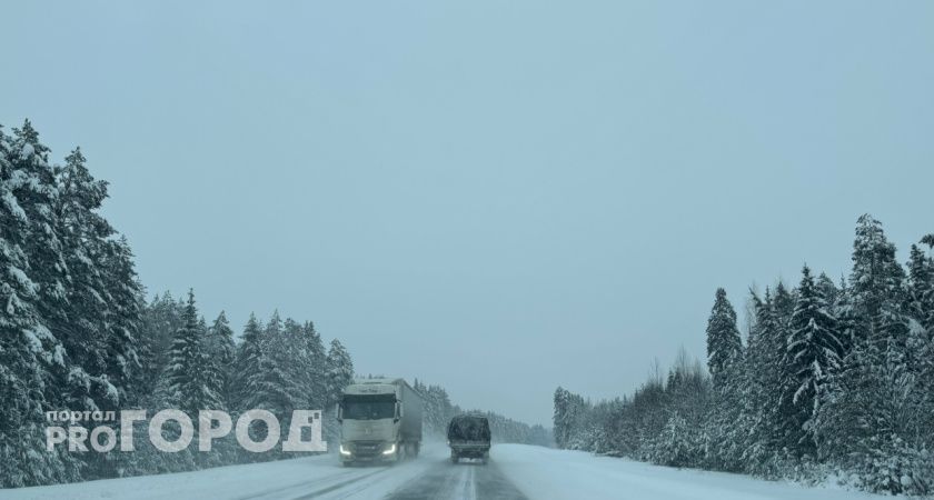 Погода в Тамбове в субботу, 10 января