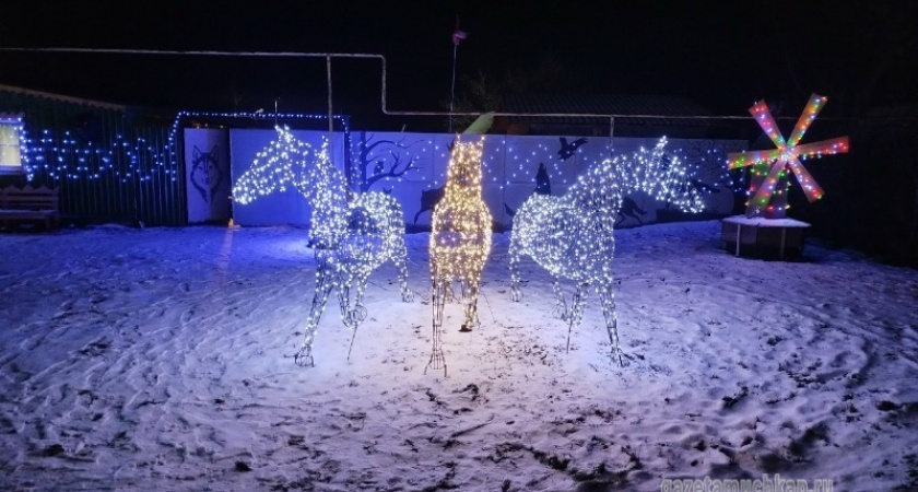 Мастер из Кулябовки создал световую инсталляцию «Тройка лошадей»