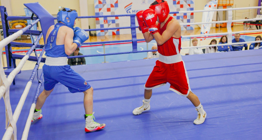 Всероссийский турнир по боксу в Тамбове соберёт спортсменов из России и Беларуси