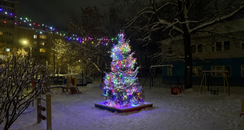 Не оставляйте где вздумается: как не попасть на штраф, выбрасывая новогоднюю елку — что нужно знать 