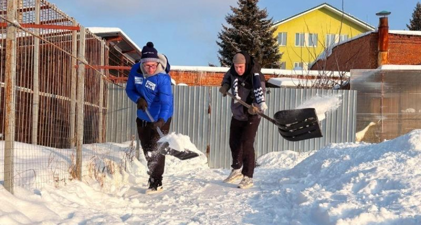 Тамбовские волонтёры расчистили от снега приют для бездомных животных