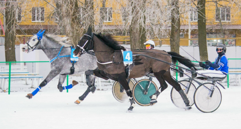 Мороз внес коррективы в работу Тамбовского ипподрома 