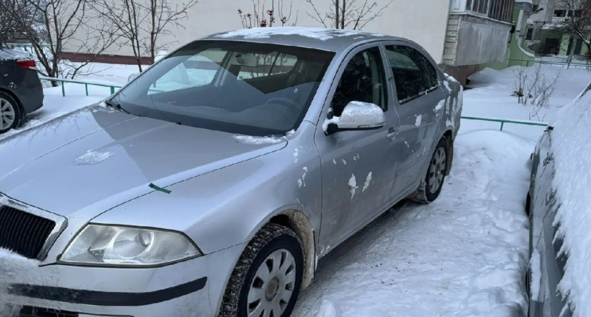 Жителю Тамбова грозит потеря автомобиля из-за накопленных кредитных и налоговых долгов