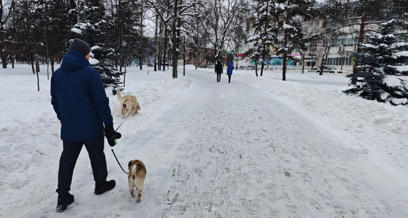 Пуховик больше не воняет маршруткой и потом: даже стирать не надо — два раза взмахнула салфеткой с особой пропиткой