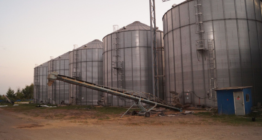 В Ржаксинском районе вынесли приговор по делу о хищении 60 тонн сои