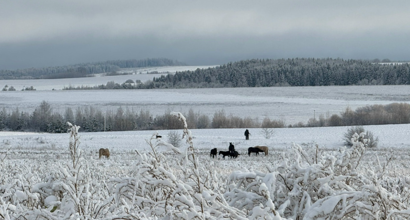 Предпринимателя из Тамбовской области оштрафовали за сорняки