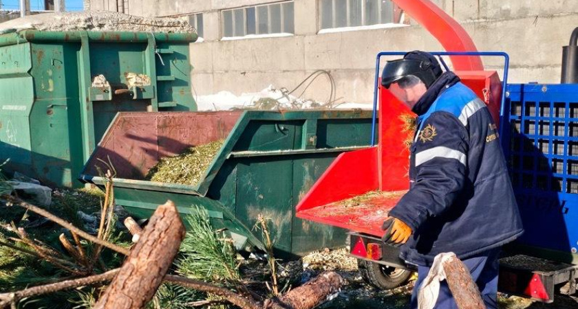 В Тамбове стартовала переработка отслуживших новогодних ёлок