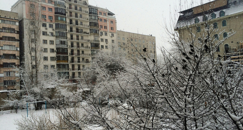 Морозы в Тамбове сменятся снегом и потеплением к концу недели