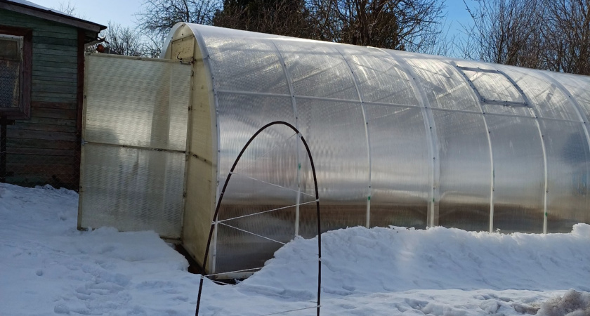 В феврале делаю с теплицей одну вещь — летом собираю мощный урожай: и помидоры, и перец прут как на дрожжах