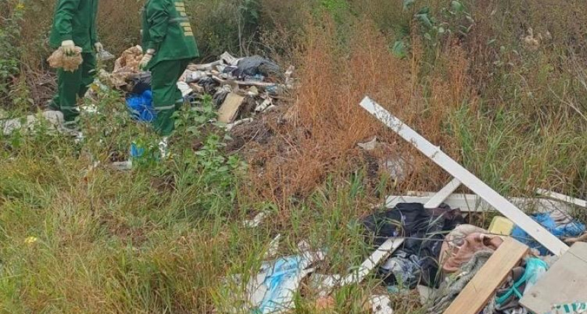 В Тамбовской области за год ликвидировали 19 несанкционированных свалок