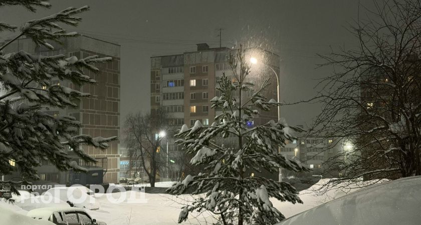 Тамбов готовится к снегопадам и понижению температуры: погода в воскресенье, 1 февраля