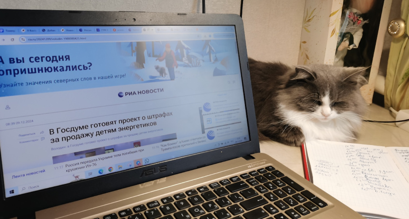 Что такое cookie и зачем каждый сайт в интернете просит на них согласие - полезно знать каждому