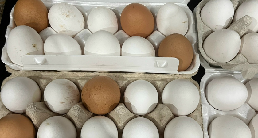В Тамбовской области искусственно завышали срок годности яиц