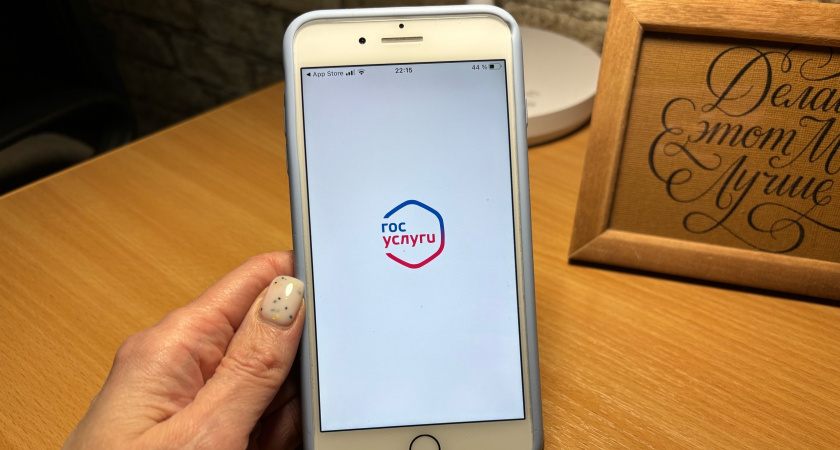 Чтобы не стать жертвой мошенников: раз в 3 месяца чистите свои "Госуслуги" - вот что для этого сделать