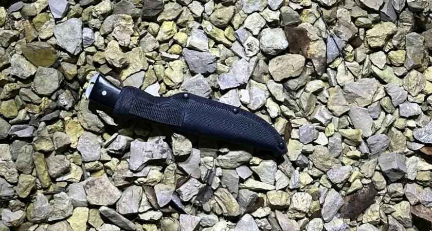 Дело о нападении на полицейского в Тамбовском округе направят в суд