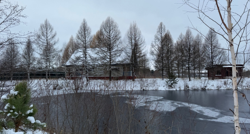 Газ и дрова - уже прошлый век: отапливаю дом зимой бесплатно - многие не догадываются, что так можно