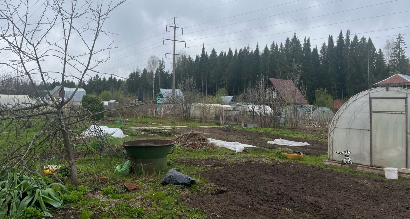 Лучше золы и перегноя: 1 горсть на мерзлые грядки - и даже глинистая почва станет мягкой, как пух