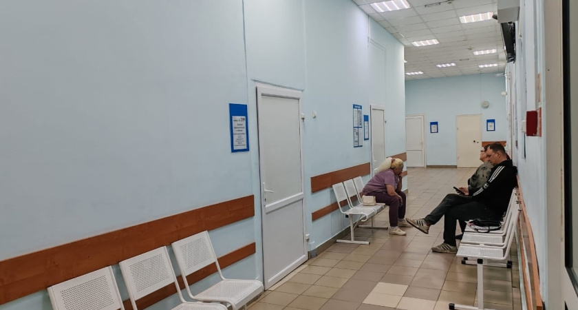 В Тамбовской области несколько человек пострадали от агрессивной лисы