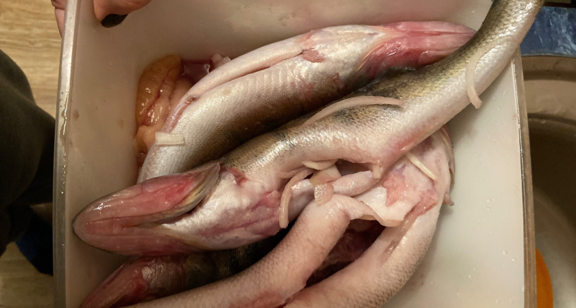 Замачиваю рыбу перед жаркой в простом рассоле: вкус, как в дорогом ресторане, - и никакого запаха