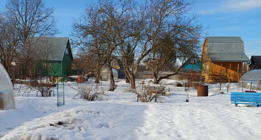 Опытные дачники уже в феврале "выводят" всех вредителей 1 обработкой по снегу - без всякой химии