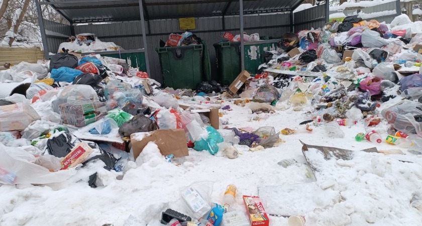 Свалка у дома: тамбовчане жалуются на хаос с вывозом мусора