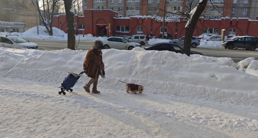 6 причин, почему в зрелом возрасте можно жить без друзей и оставаться счастливым - объясняют психологи
