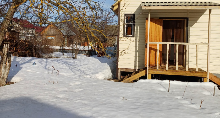 Лучше золы, дрожжей и навоза: сыпем на грядки по снегу в феврале - весной почва мягкая, как хлеб 