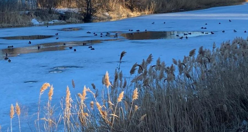 В Тамбовской области начали подготовку гидросооружений к весеннему паводку 2026 года
