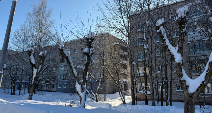 Снег, дождь и перепады температур: какая погода ждёт Тамбов в ближайшие три дня