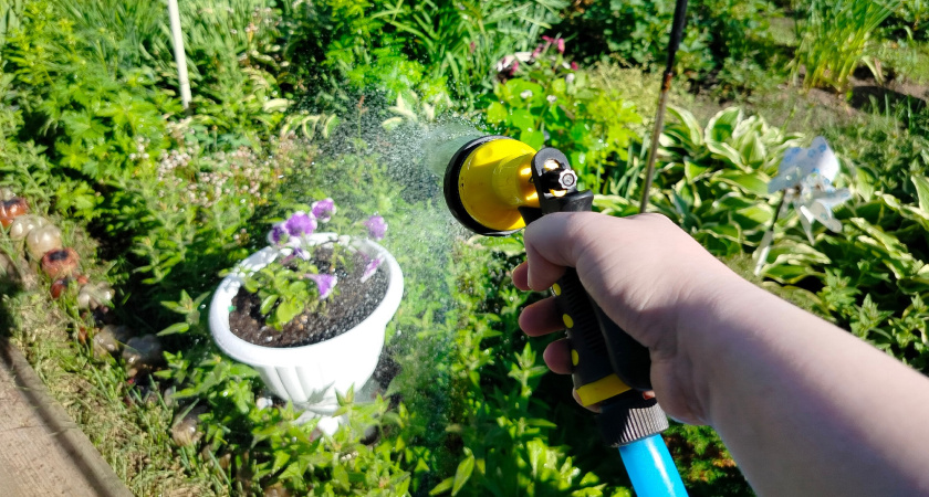 Почему я перестала просить родственников помогать мне в огороде - и другим советую