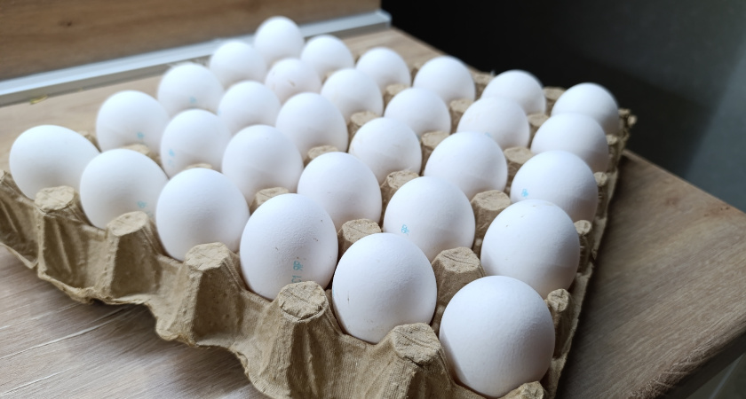 Вы не поверите: что творят с лотками в Европе? Пока мы выбрасываем тару из-под яиц – они экономят тысячи