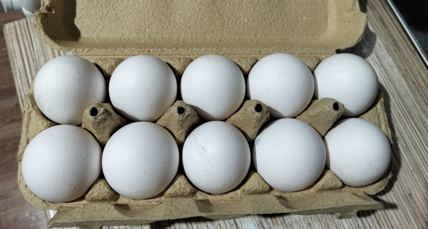 Можно ли менять битые яйца в лотке - и почему сотрудники магазина против: запомните раз и навсегда