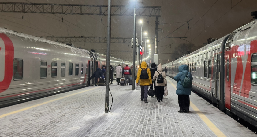 Делают людям как лучше, а они все ломают: куда из поездов РЖД исчезли те самые шторки для приватности