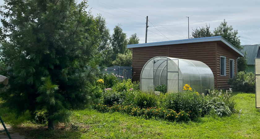 Поликарбонат для теплицы уже не в тренде: дачники переходят на другой материал - стоит дешевле и не собирает грязь