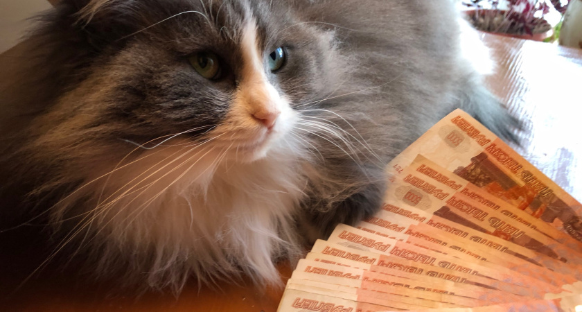 Сколько наличных необходимо хранить дома: эксперты дали россиянам полезный совет