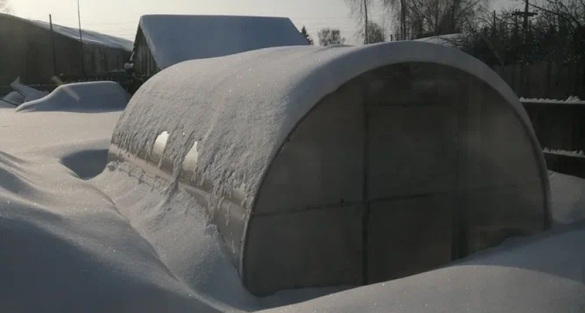 Забудьте про лопату: дедовский способ убрать снег с теплицы легким движением руки - просто и быстро