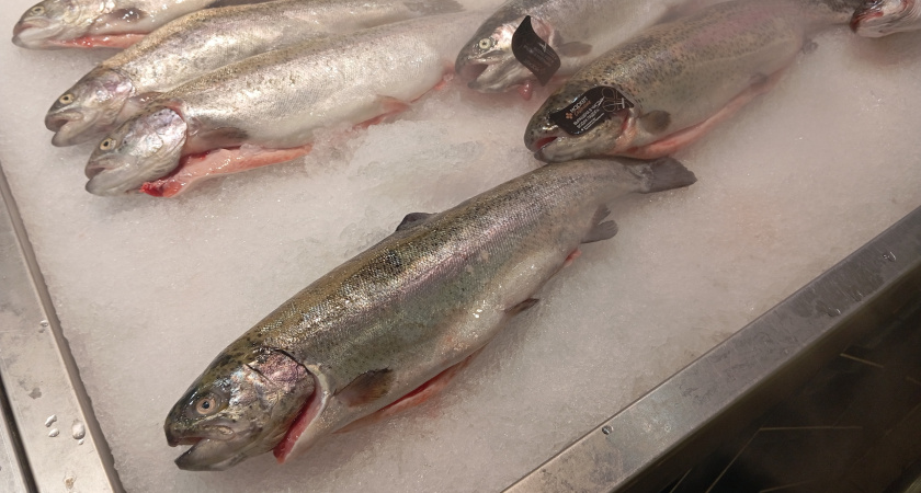 Покупатель взял в магазине смертельно опасную рыбу под видом скумбрии - будьте внимательны