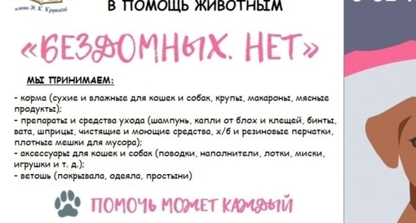 Жителям Тамбова предлагают принять участие в благотворительной акции для оказания поддержки бездомным животным