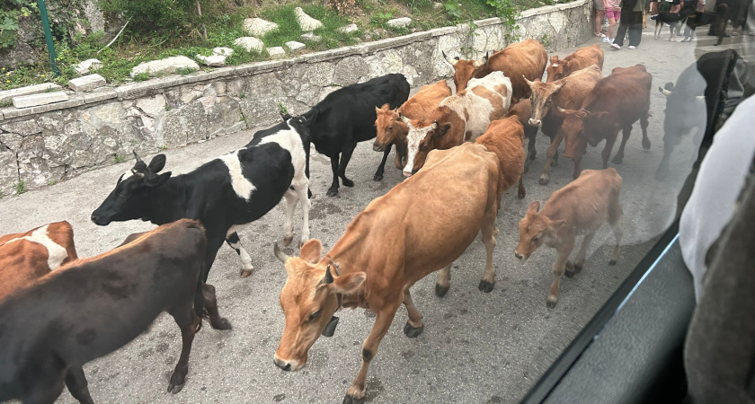 Правда об отдыхе в Абхазии: топ-10 неприятных сюрпризов, которые ожидают туристов в "стране души"