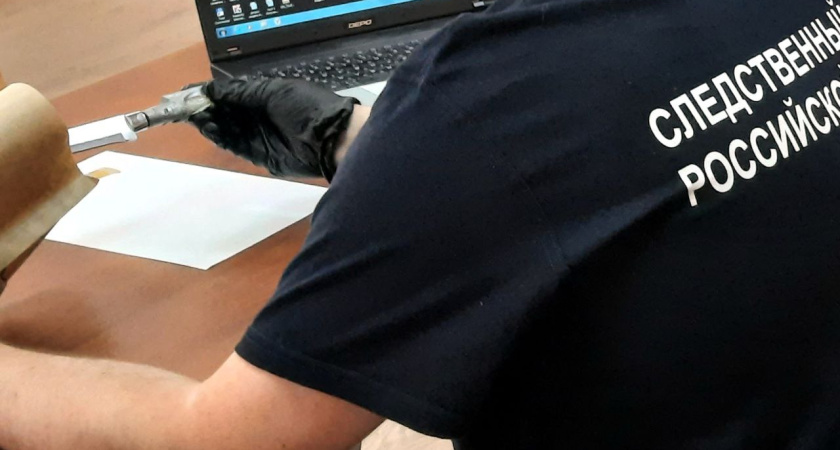 В Тамбове 17-летний подросток предстанет перед судом по обвинению в убийстве матери