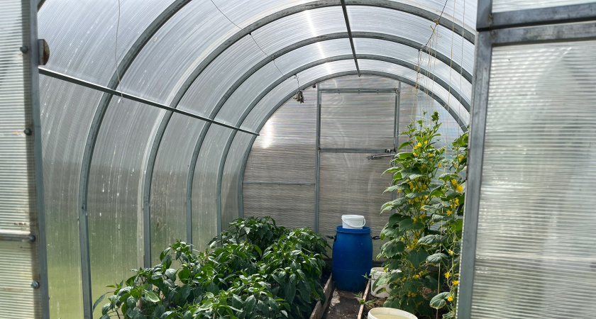 Пленка и поликарбонат теперь не в тренде: какой материал для теплиц прослужит 30 лет