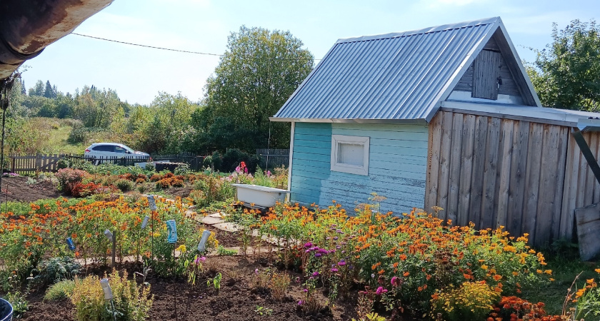 Фундамент трескается из-за этих ошибок: 4 простых совета помогут сэкономить сотни тысяч рублей