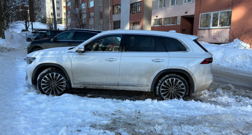 Думал, что беру бюджетный Вольво, а на самом деле купил подделку: владелец Geely Monjaro честно рассказал о своем кроссовере