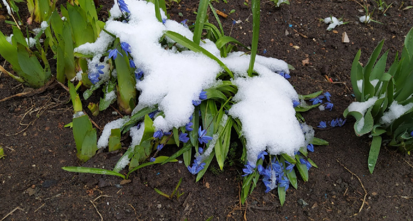 Апрель и май подложат свинью: синоптики рассказали, к каким аномалиям готовиться россиянам