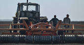 В Тамбовской области посевная кампания близка к завершению: засеяно более 1,3 млн гектаров