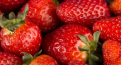 Когда клубника станет доступной: жителям Тамбова пообещали снижение цен уже в июне