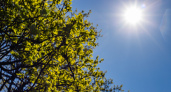 Погода в Тамбовской области: ясно и тепло, но с порывистым ветром