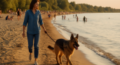 Тамбовскую область ждут новые правила: россиянам запретят гулять с животными на пляжах